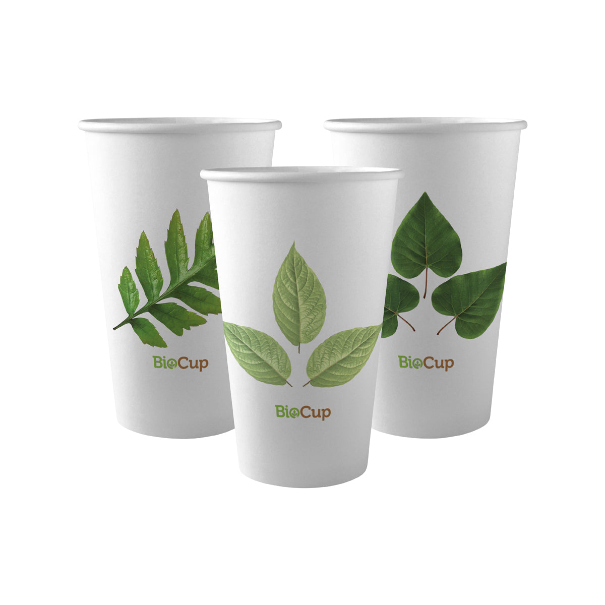 BC-16 BioPak Single Wall Leaf BioCup (90mm) 510ml / 16oz Native Wholesale Hospitality Supplies Canberra