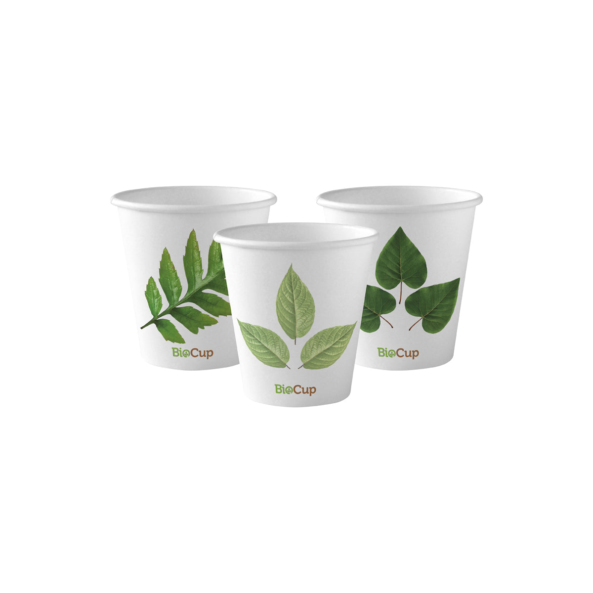 BC-6 BioPak Single Wall Leaf BioCup (80mm) 230ml / 6oz Native Wholesale Hospitality Supplies Canberra