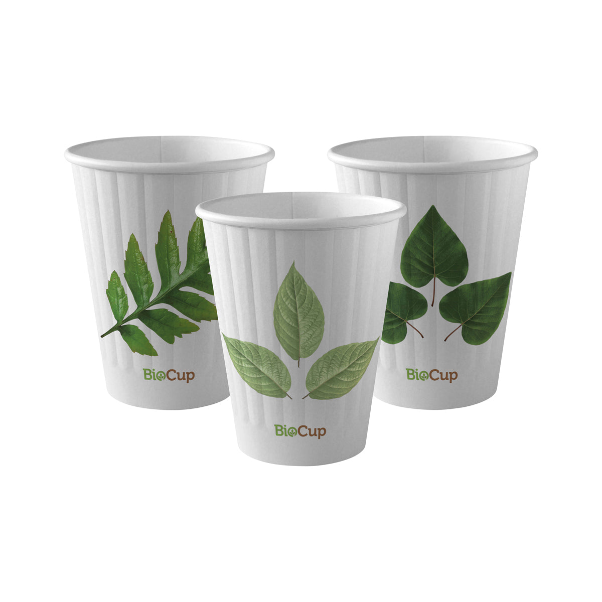 BC-8DW BioPak Double Wall Leaf BioCup (80mm) 255ml / 8oz Native Wholesale Hospitality Supplies Canberra