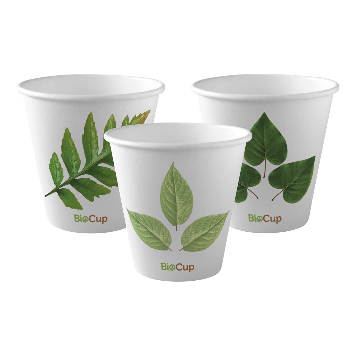 BC-8(90) BioPak Single Wall Leaf BioCup (90mm) 280ml / 8oz Native Wholesale Hospitality Supplies Canberra
