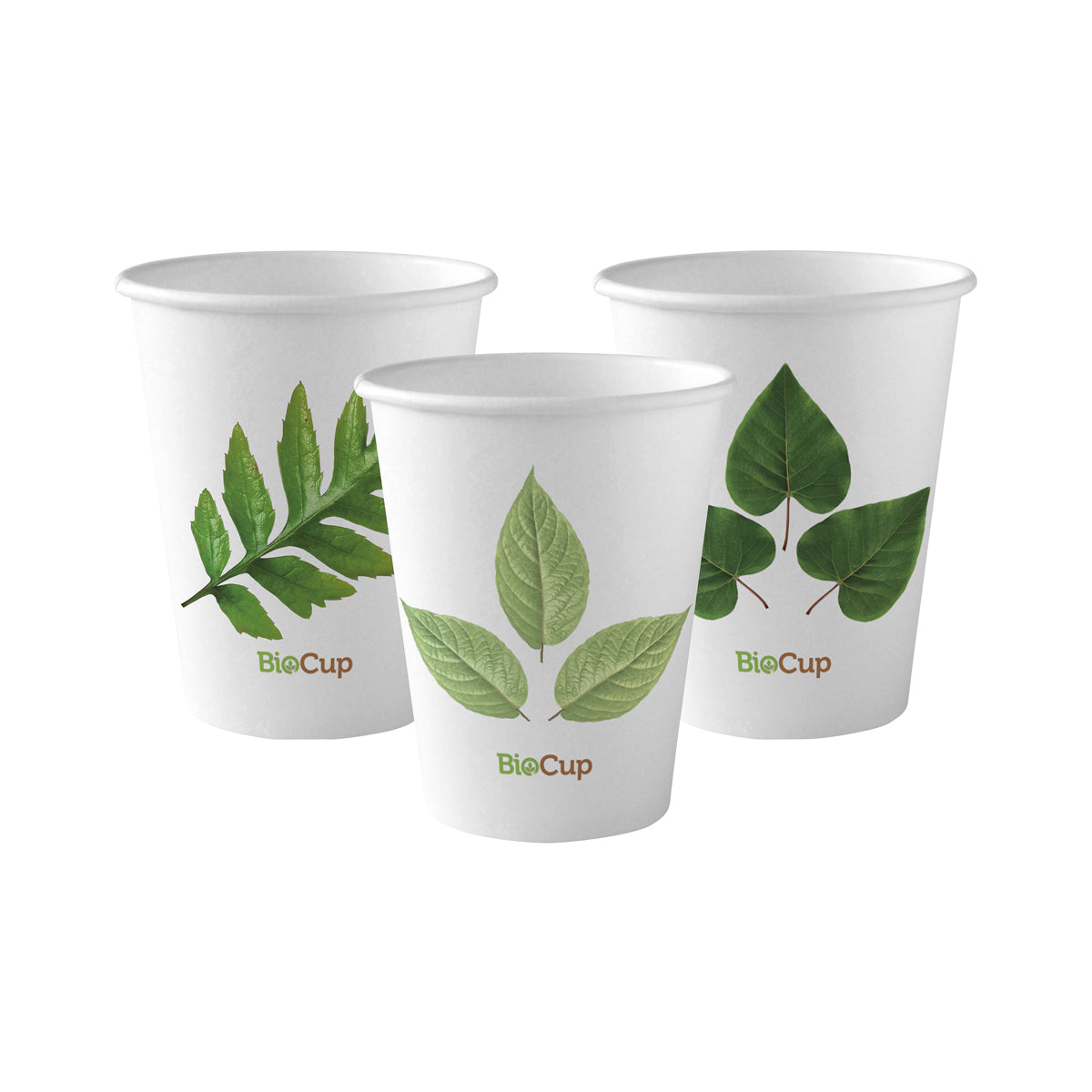 BC-8 BioPak Single Wall Leaf BioCup (80mm) 280ml / 8oz Native Wholesale Hospitality Supplies Canberra